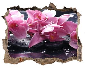 Fototapet 3D gaură în perete Orhidee roz