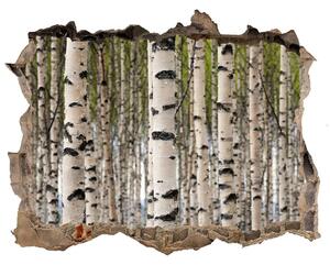 Autocolant de perete gaură 3D Pădurea de mesteacăn