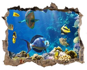 Fototapet 3D gaură în perete Recif de corali
