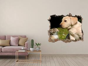 Fototapet 3D gaură în perete Câine și pisică pe pajiște