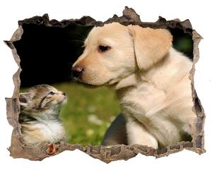 Fototapet 3D gaură în perete Câine și pisică pe pajiște