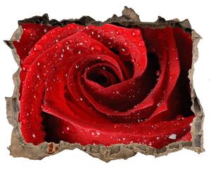 Autocolant gaură 3D Picaturi pe un trandafir