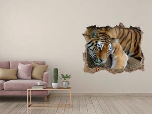 Autocolant de perete gaură 3D Tiger pe un copac