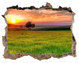 Autocolant gaură 3D Sunset meadow