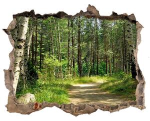 Autocolant autoadeziv gaură Calea în pădure