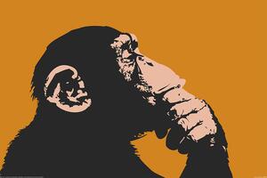 XXL Poster Monkey - Thinking, (120 x 80 cm)