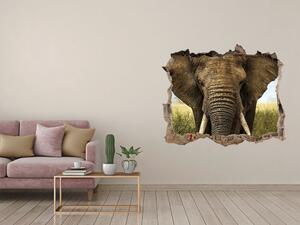 Autocolant 3D gaura cu priveliște Elephant pe savana