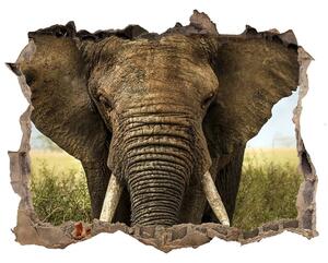 Autocolant 3D gaura cu priveliște Elephant pe savana