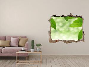 Autocolant de perete gaură 3D Frunze verzi