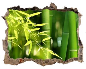 Fototapet 3D gaură în perete Bambus