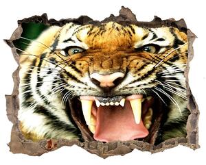 Fototapet 3D gaură în perete Hohotitor tigru