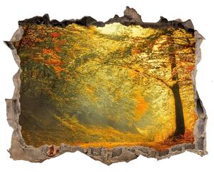 Fototapet 3D gaură în perete Pădure în toamna
