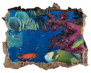 Fototapet 3D gaură în perete Recif de corali