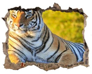 Fototapet 3D gaură în perete Portret de un tigru