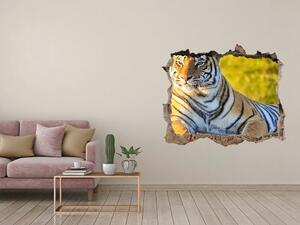 Fototapet 3D gaură în perete Portret de un tigru