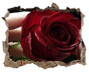 Autocolant gaură 3D Femeia cu un trandafir