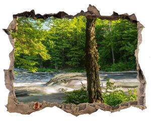 Fototapet 3D gaură în perete Râul în pădure