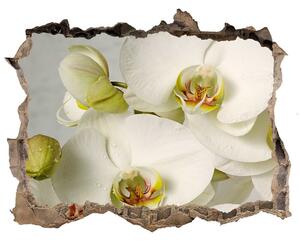 Autocolant de perete gaură 3D Alb orhidee