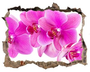 Fototapet un zid spart cu priveliște Orhidee roz