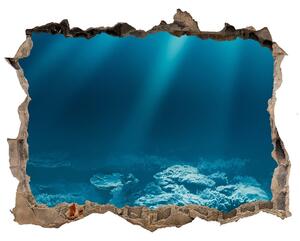 Fototapet un zid spart cu priveliște Lumea subacvatica