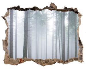 Fototapet 3D gaură în perete Ceață în pădure