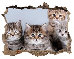 Autocolant gaură 3D Cinci pisici