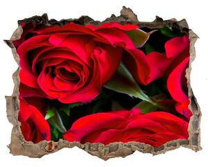 Autocolant gaură 3D Trandafiri rosii