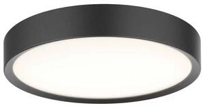 Universal LED Plafonieră Ø43 Black - Halo Design