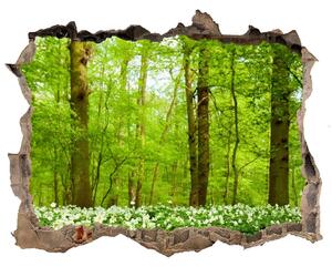 Autocolant de perete gaură 3D Flori în pădure