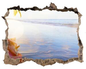 Autocolant un zid spart cu priveliște Seashell pe plaja