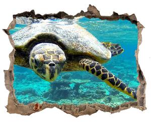 Autocolant 3D gaura cu priveliște Broască țestoasă