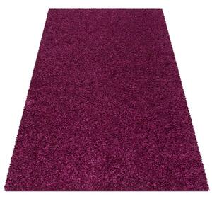 Covor Shaggy frumos violet Lăţime: 60 cm | Lungime: 100 cm