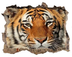 Dziura 3d foto tapeta naklejka Tigru bengalez