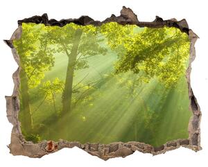 Naklejka fototapeta 3D widok Pădurea în soare