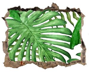 Okleina 3D dziura naklejka Frunze tropicale