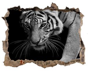 Dziura 3d foto tapeta naklejka Tigru