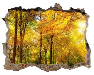 Naklejka fototapeta 3D widok Pădure în toamna