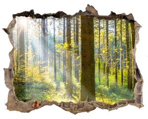 Autocolant autoadeziv gaură Pădurea în soare