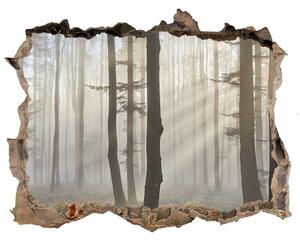Autocolant gaură 3D Ceață în pădure