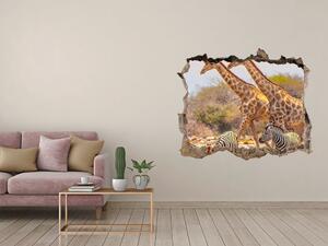 Autocolant de perete gaură 3D Girafe și zebre