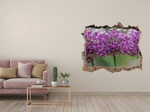 Autocolant un zid spart cu priveliște Floare de usturoi
