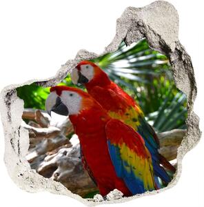 Fototapet un zid spart cu priveliște papagali Macaws