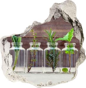 Autocolant de perete gaură 3D Plantele în borcane