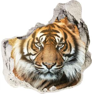 Fototapet un zid spart cu priveliște tigru bengalez