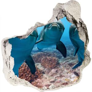 Autocolant gaură 3D delfini