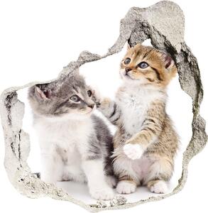 Autocolant gaură 3D Două pisici de talie mică