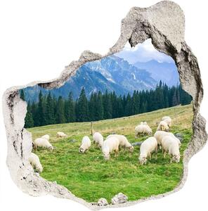 Autocolant de perete gaură 3D Oi în munții Tatra