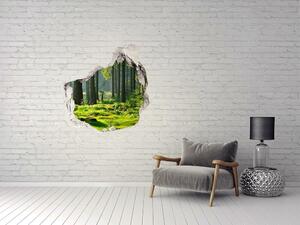 Fototapet 3D gaură în perete pădure de molid