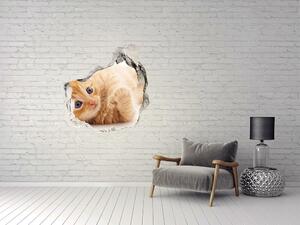 Fototapet 3D gaură în perete Red Cat