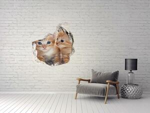 Autocolant de perete gaură 3D pisici de talie mică